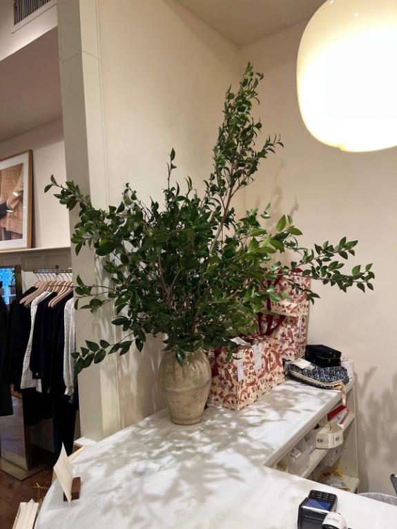 Fox Fodder Flowers image grid container slide 3