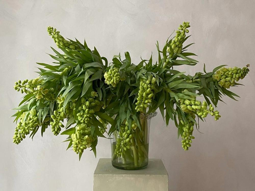 Fox Fodder Flowers Hero Slide 1 Image 1