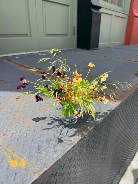 Fox Fodder Flowers image grid container slide 149