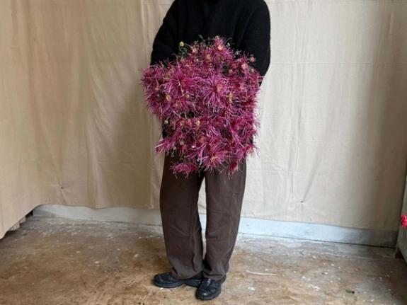 Fox Fodder Flowers image grid container slide 80