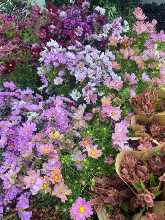 Fox Fodder Flowers image grid container slide 55