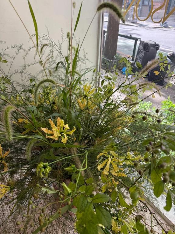 Fox Fodder Flowers image grid container slide 6
