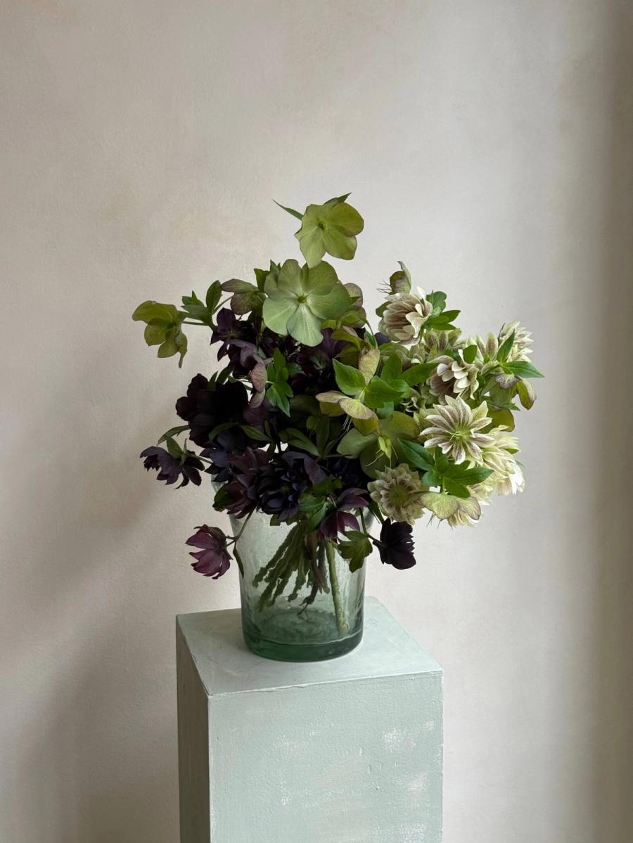 Product image in gallery for Hellebore Mix | Item 1
