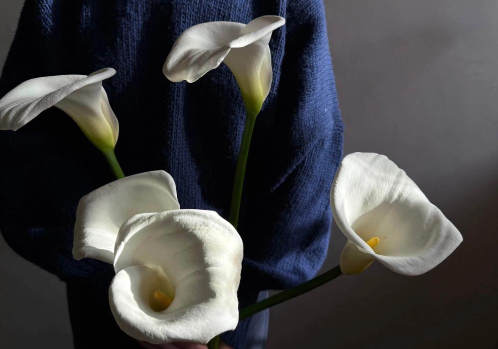 Fox Fodder Flowers Hero Slide 2 Image 1