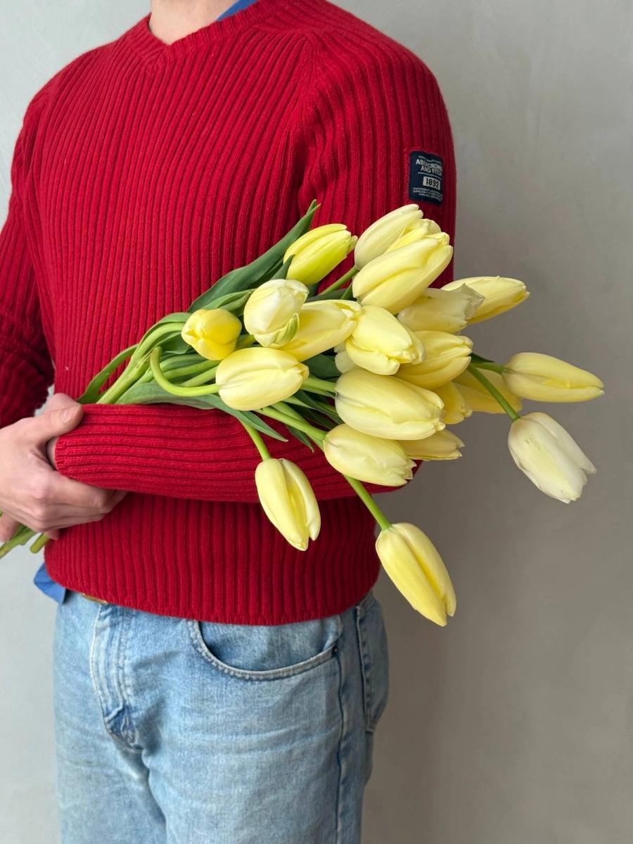 Product image in gallery for French Maureen Tulips | Item 2