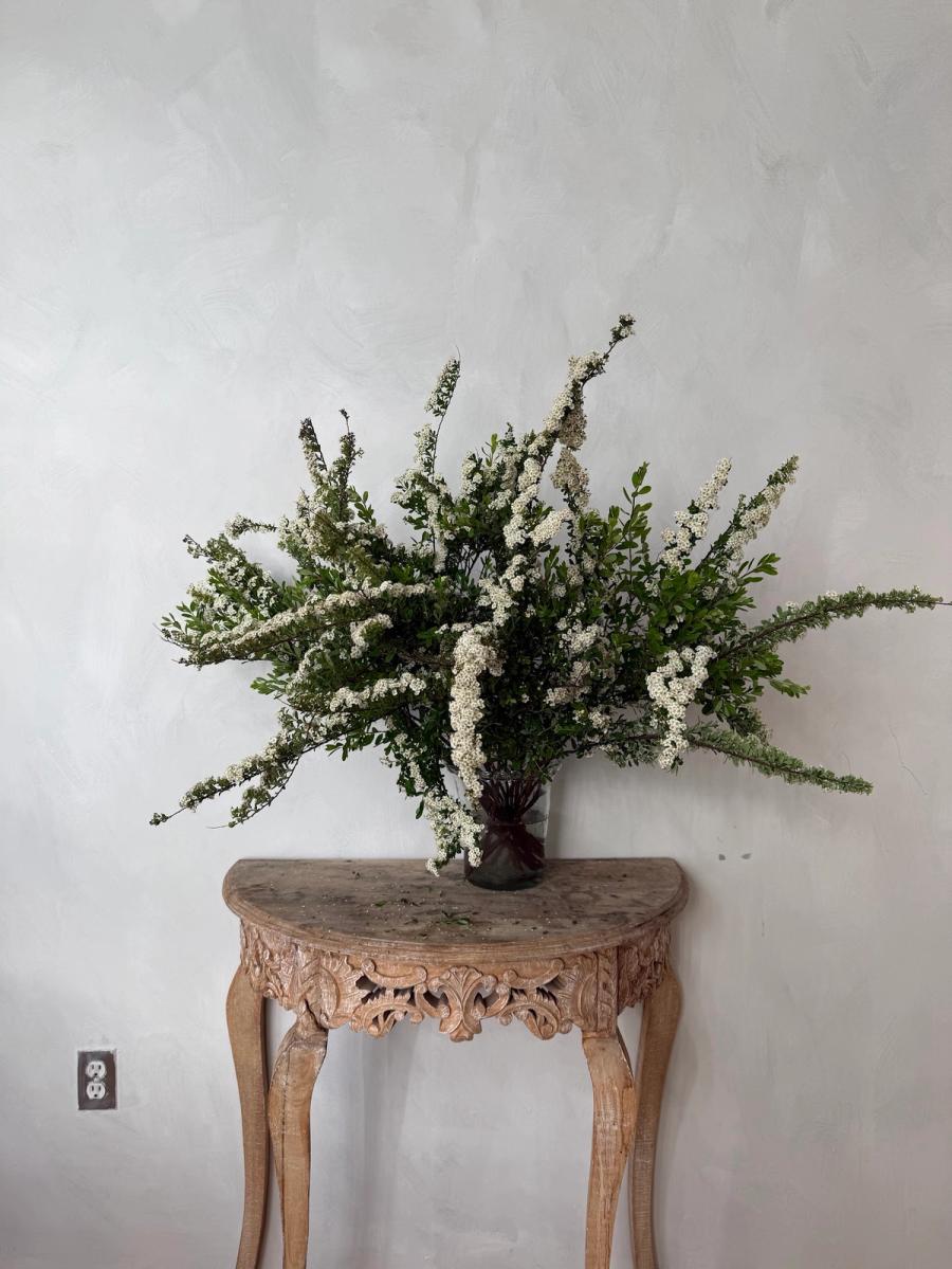 Product image in gallery for Spirea | Item 1