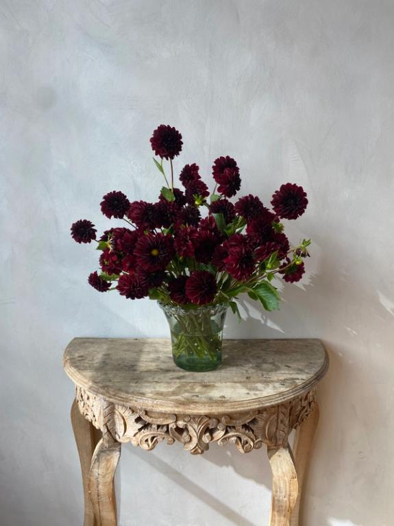 Thumbnail Image of Black Satin Dalias