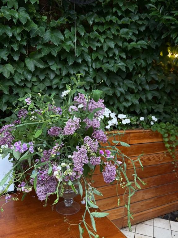 Fox Fodder Flowers image grid container slide 231