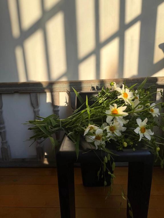 Fox Fodder Flowers image grid container slide 108