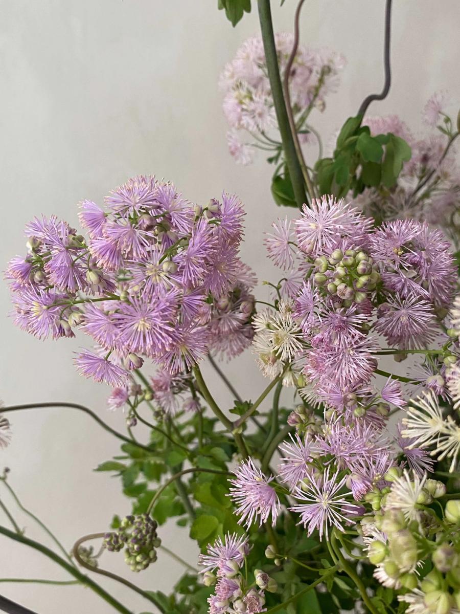 Product image in gallery for Nimbus Thalictrum Arrangement. | Item 3