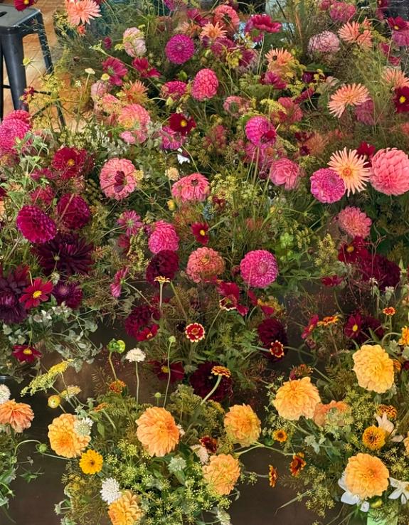 Fox Fodder Flowers image grid container slide 113
