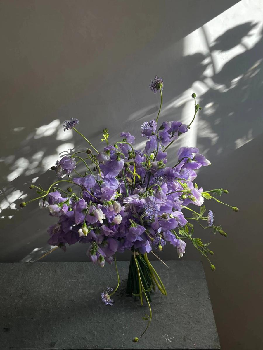 Product image in gallery for Japanese Sweet Pea and Lacy Lavender Blue Didiscus | Item 1