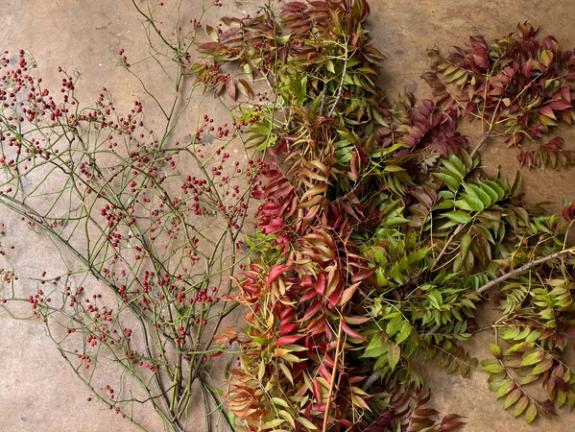 Fox Fodder Flowers image grid container slide 48