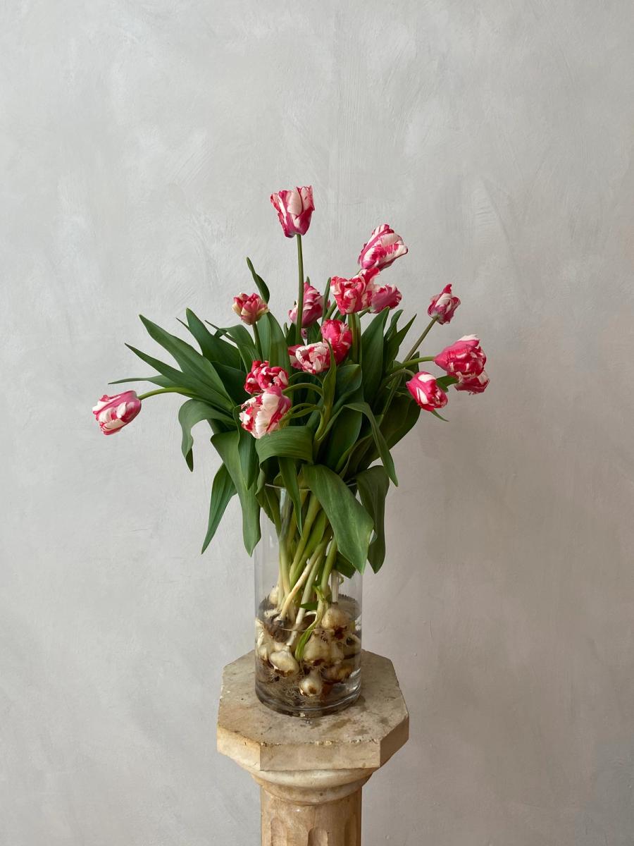 Product image in gallery for Estella Rinjveld Tulips on the bulb | Item 1