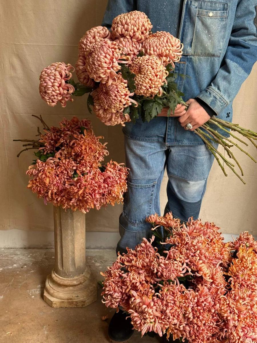 Product image in gallery for River City Big & Small Chrysanthemum | Item 1