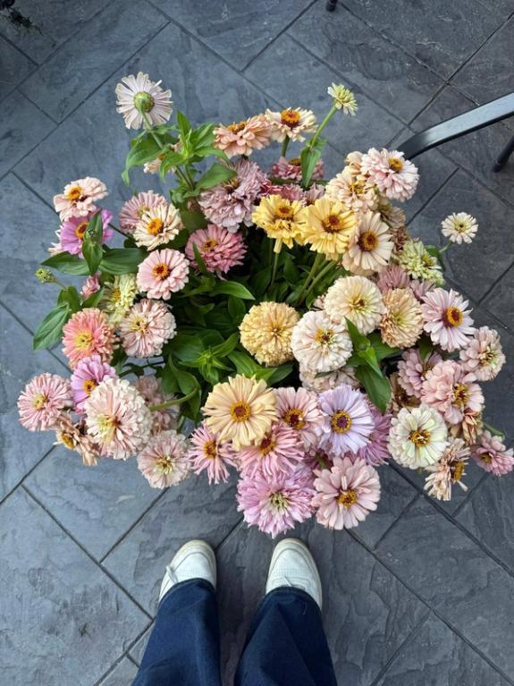 Fox Fodder Flowers image grid container slide 2
