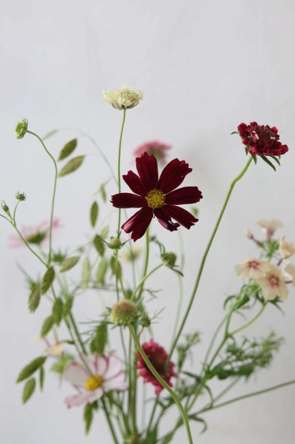 Hover Image of Bud Vase Trio