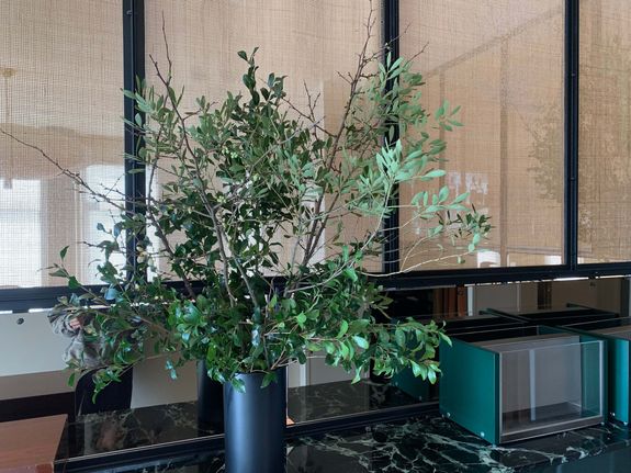 Fox Fodder Flowers image grid container slide 136