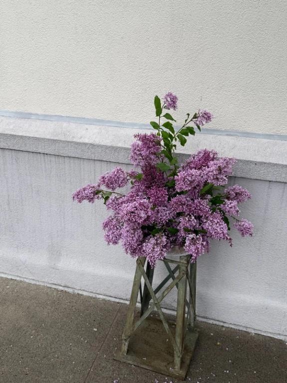 Fox Fodder Flowers image grid container slide 190