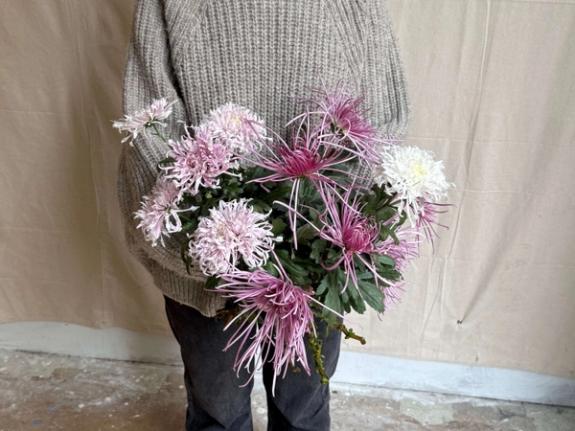 Hover Image of Icicles and Pink Splendor Heirloom Chrysanthemums