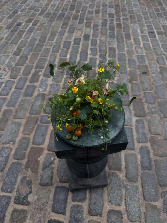 Fox Fodder Flowers image grid container slide 45