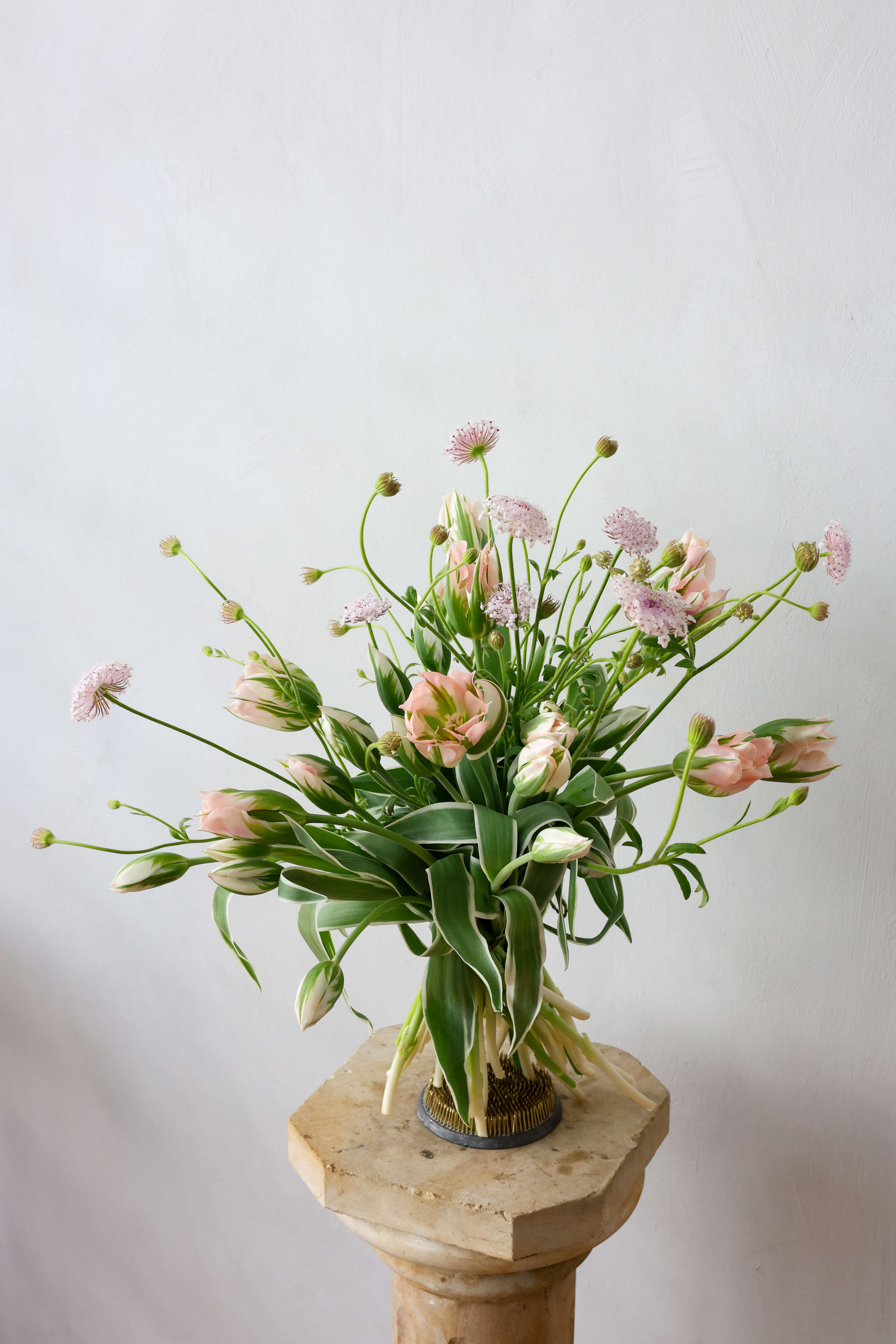 Fox Fodder Flowers | Shop In-season Flowers