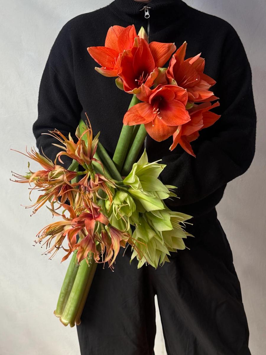 Product image in gallery for Subscription- What We're Loving | Item 9