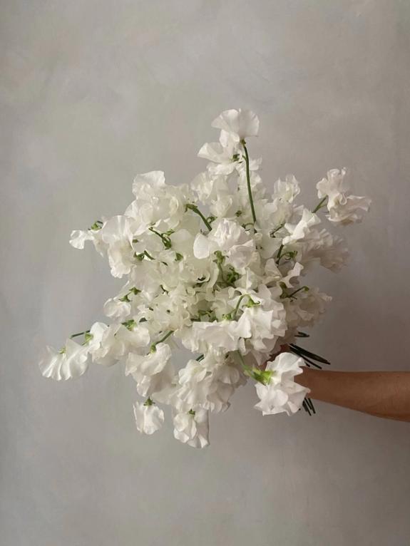 Fox Fodder Flowers image grid container slide 57