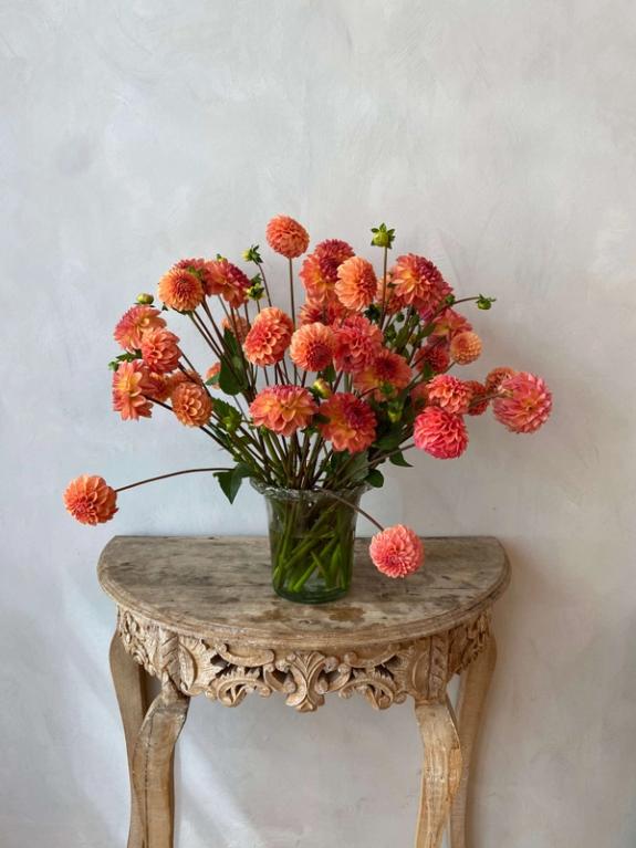 Thumbnail Image of Lark's Ebbe Dahlias