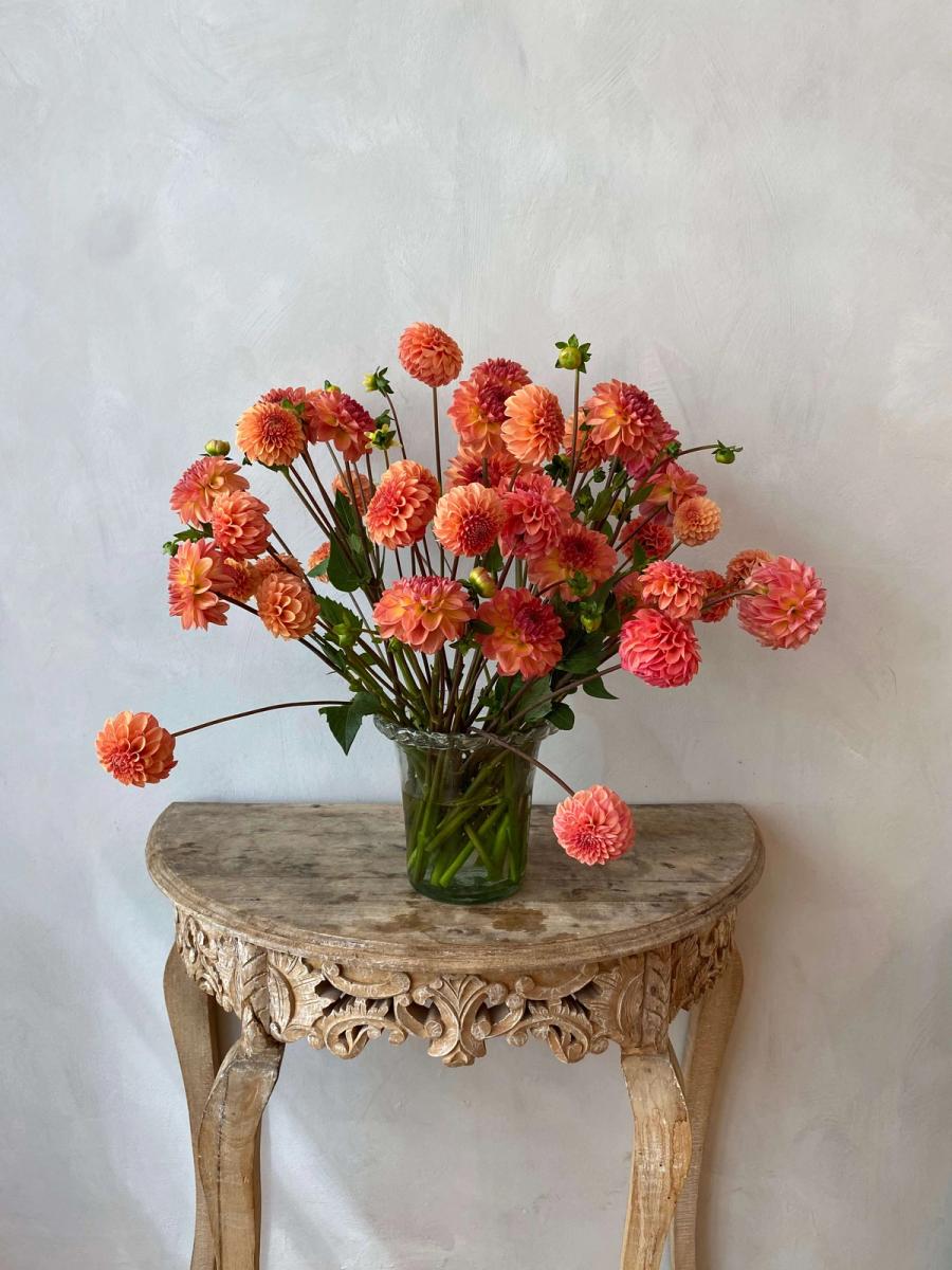 Product image in gallery for Lark's Ebb Dahlias | Item 1