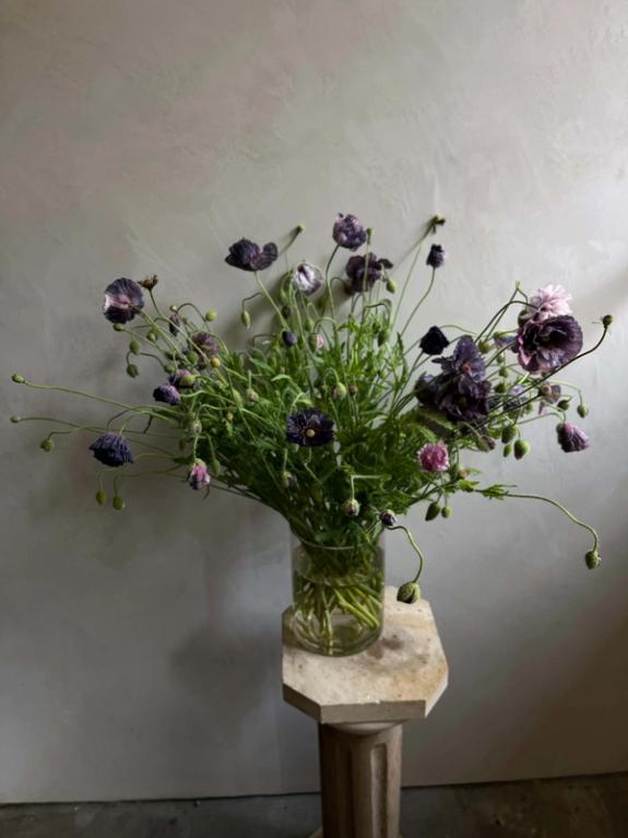 Thumbnail Image of Amazing Grey Poppies in glass