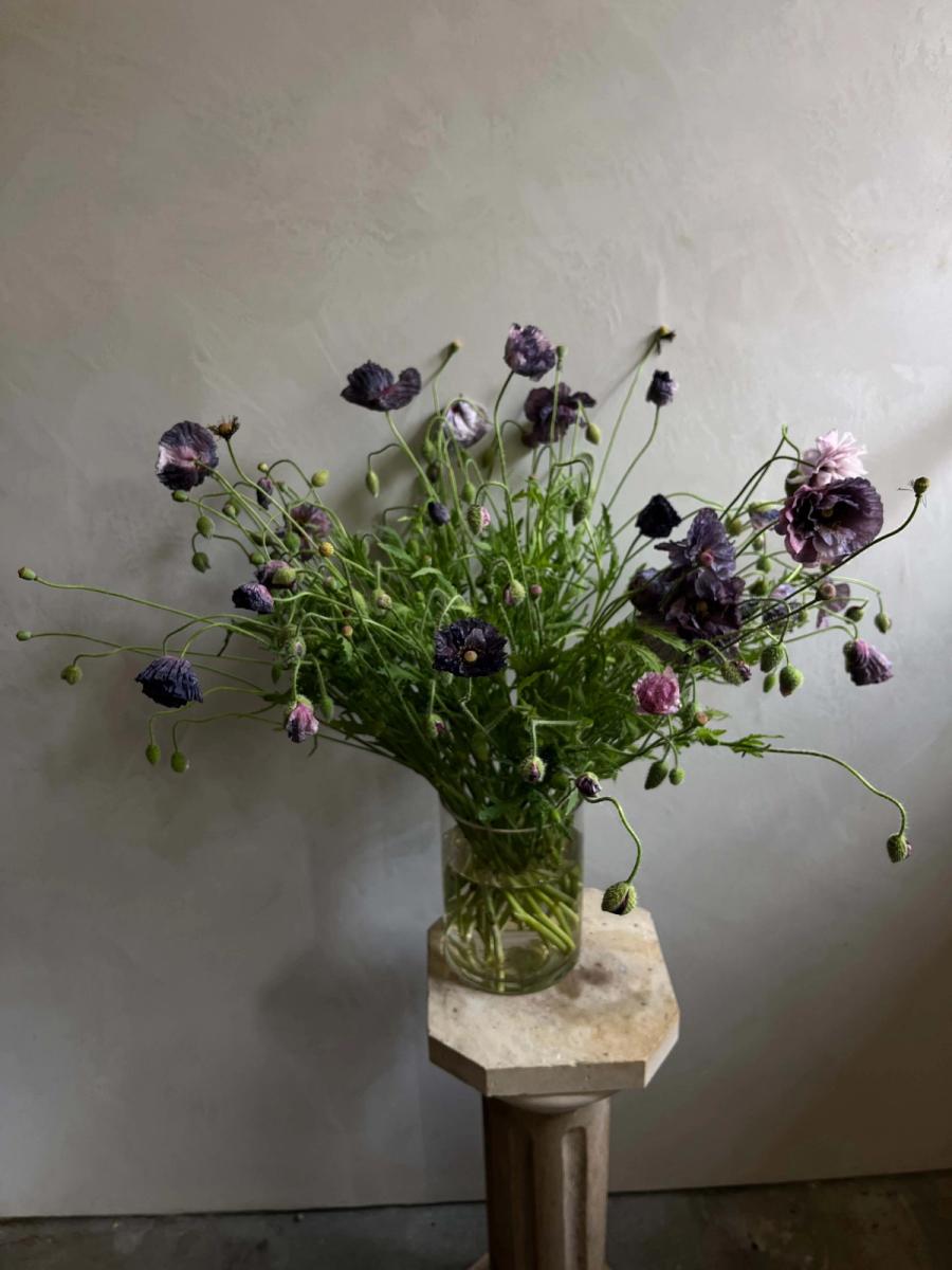 Product image in gallery for Amazing Grey Poppies in glass | Item 1