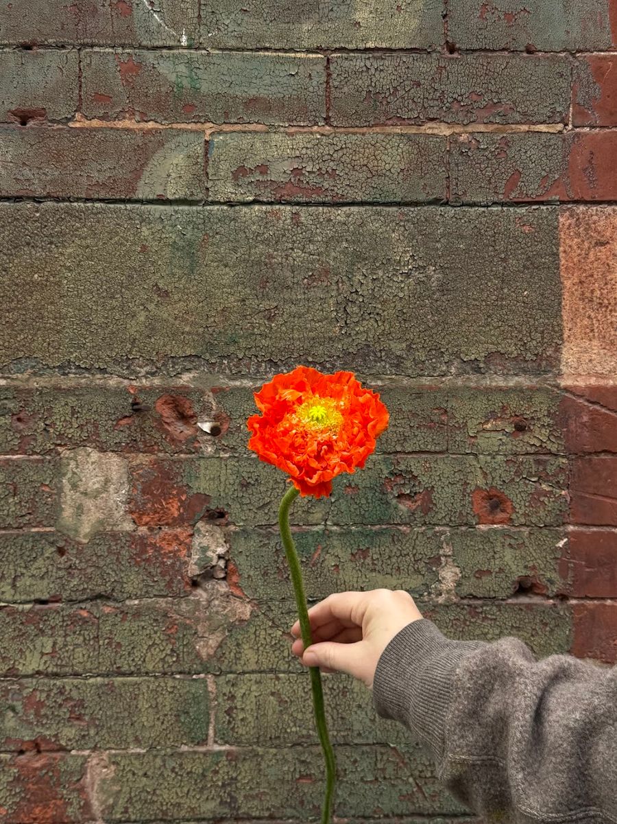 Product image in gallery for What We're Loving- Flower Subscription | Item 4