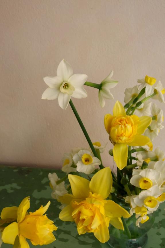 Hover Image of La Grande Petite Petite Flower Arrangements
