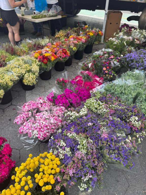 Fox Fodder Flowers image grid container slide 38