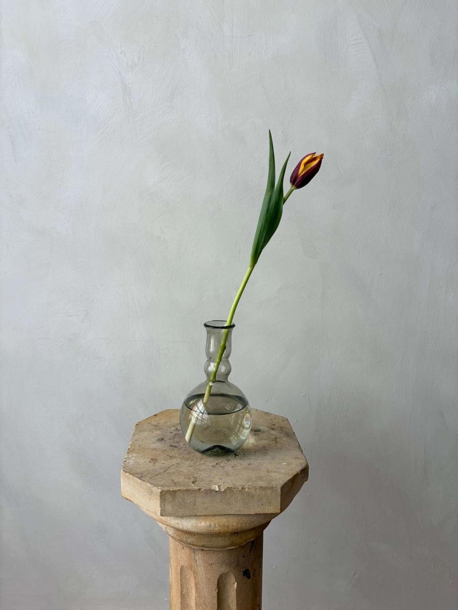 Product image in gallery for Gavota Tulips | Item 3