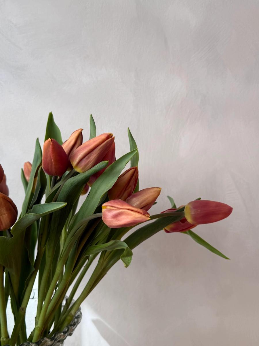 Product image in gallery for Brown Sugar Tulips | Item 2