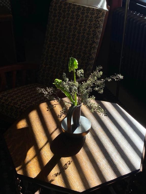 Fox Fodder Flowers image grid container slide 12