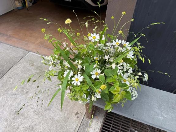 Fox Fodder Flowers image grid container slide 17