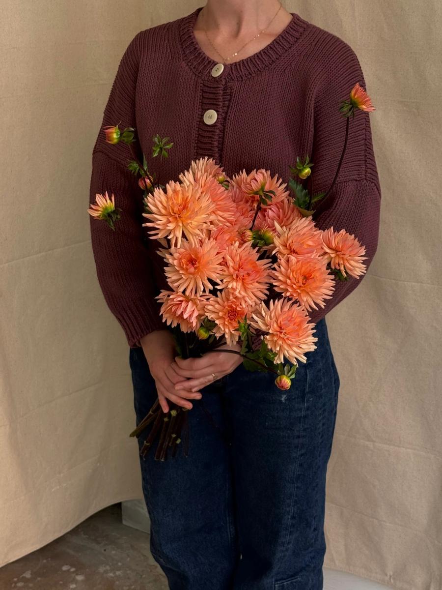Product image in gallery for Peach Fuzz Dahlias | Item 3