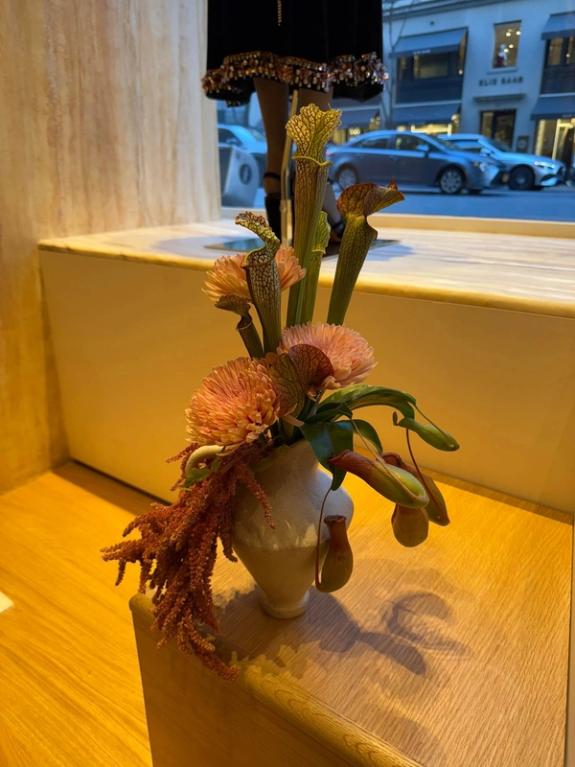 Fox Fodder Flowers image grid container slide 32