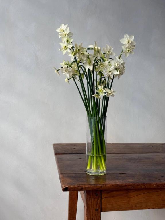 Fox Fodder Flowers image grid container slide 31