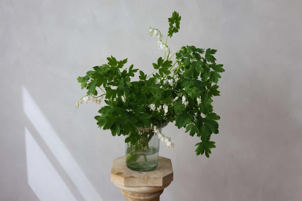 Fox Fodder Flowers Hero Slide 3 Image 1