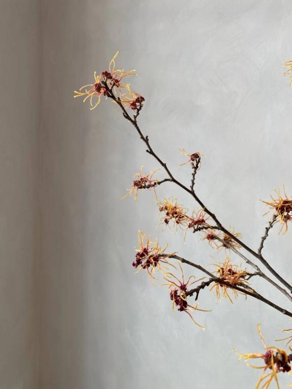 Fox Fodder Flowers image grid container slide 9