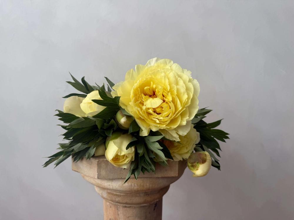 Fox Fodder Flowers Hero Slide 2 Image 1