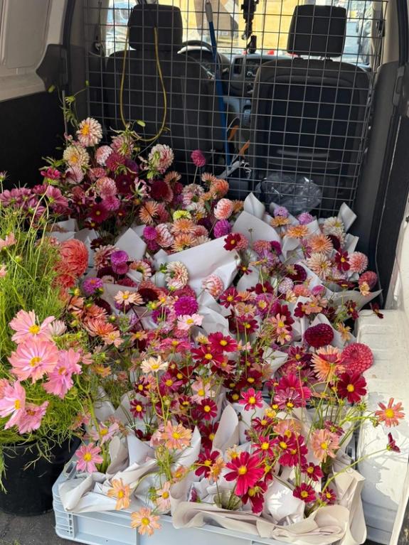 Fox Fodder Flowers image grid container slide 73