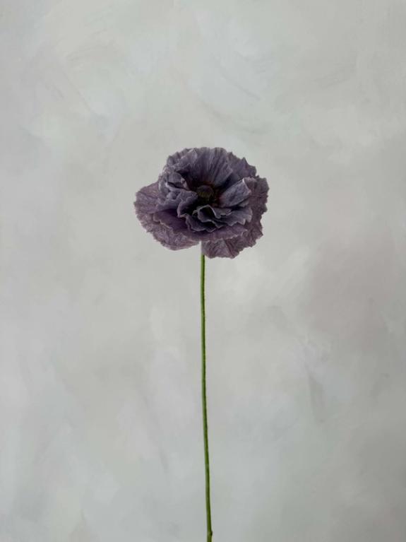 Hover Image of Amazing Grey Poppies in glass