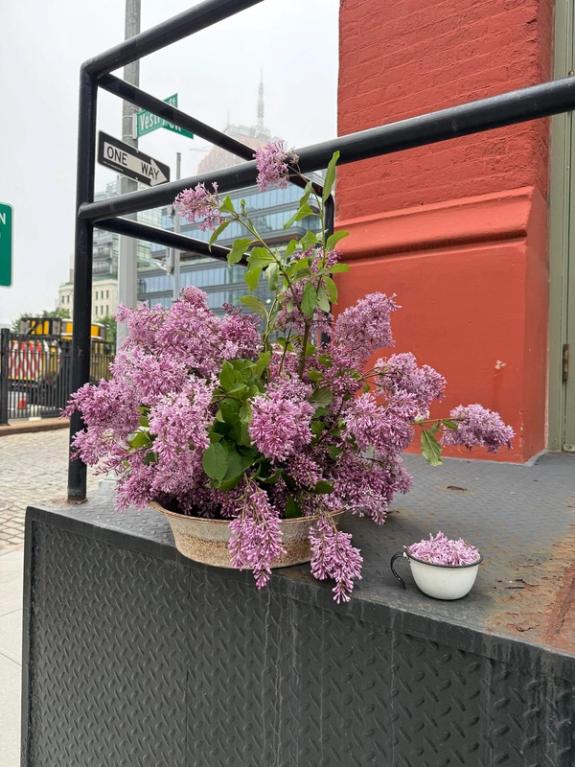 Fox Fodder Flowers image grid container slide 199