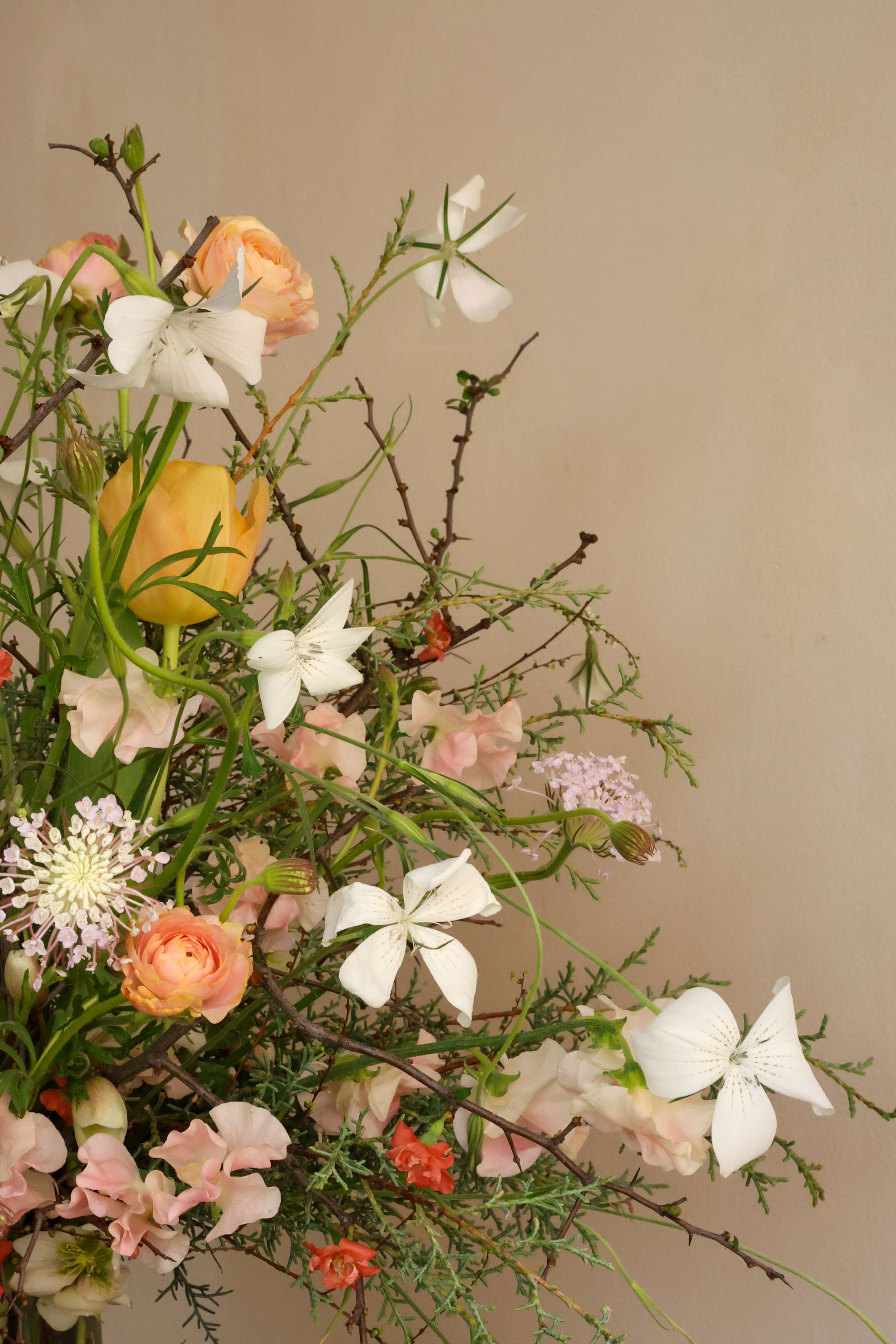 Fox Fodder Flowers | Signature Flower Arrangement | Seasonal