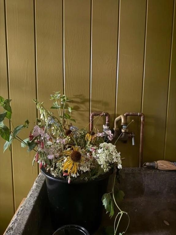 Fox Fodder Flowers image grid container slide 159